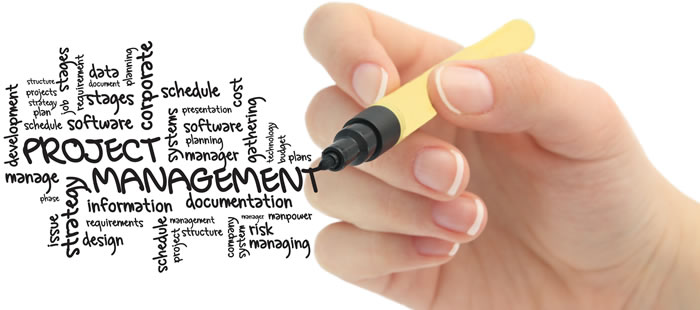 Project Management Services